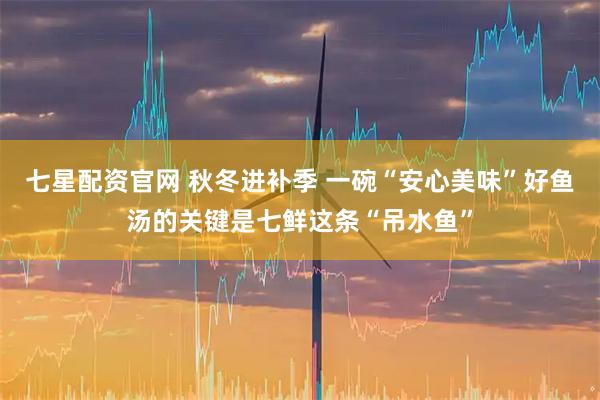七星配资官网 秋冬进补季 一碗“安心美味”好鱼汤的关键是七鲜这条“吊水鱼”