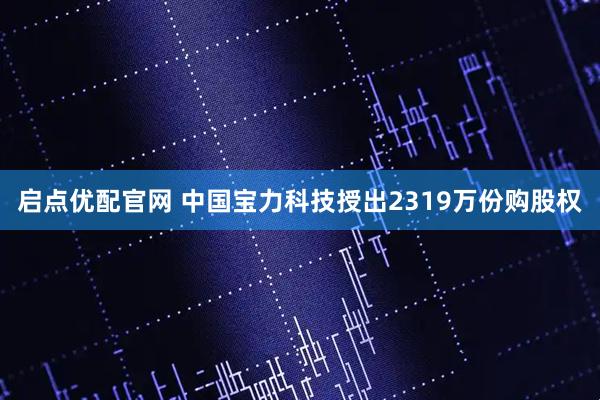 启点优配官网 中国宝力科技授出2319万份购股权