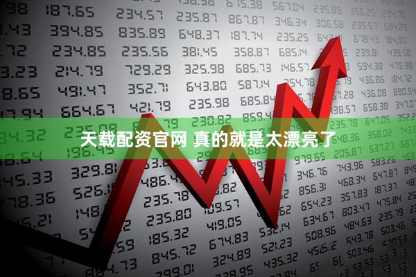 天载配资官网 真的就是太漂亮了